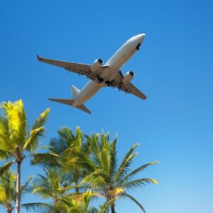 Un avion commercial avec train d'atterrissage déployé vole bas au-dessus de grands palmiers sous un ciel bleu clair.